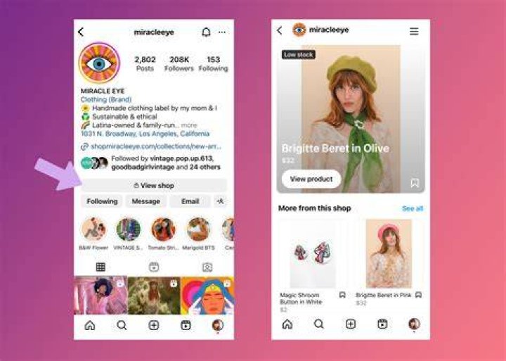 Instagram, Job, & Everything To Know