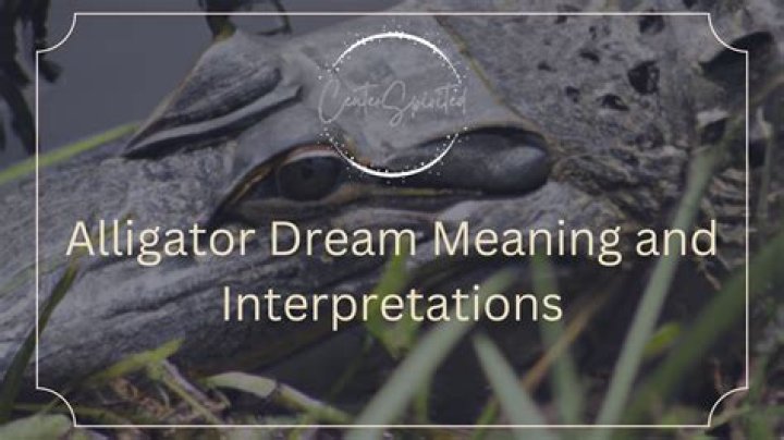 What Does It Mean When You Dream About Alligators? Experts Decode